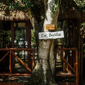 https://cobanitas.tulum-hotels.net